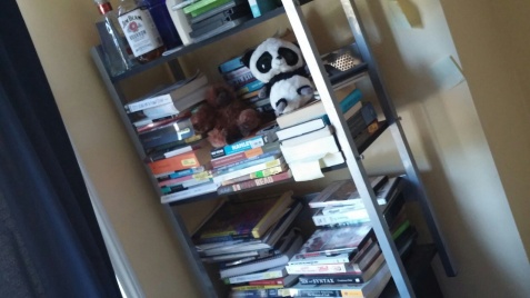 Not a bookstore but there is a PANDA!!!